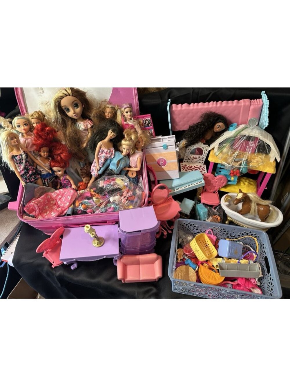 Barbie Doll lot Rainbow Monster, Disney, Skipper, Chelsea, Cloths, Furniture, Sh